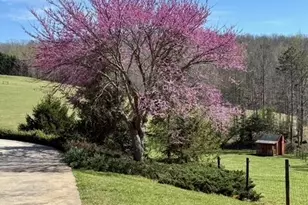 991 Adair Mill Rd, Cleveland, GA 30528 - Photo 78