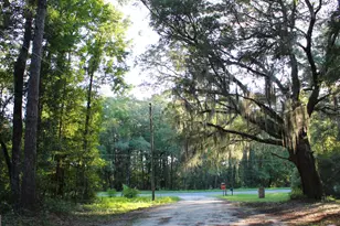 1022 Harmony Hill Ln NE, Townsend, GA 31331 - Photo 1