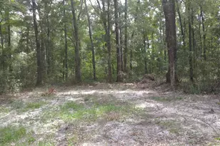 1046 Harmony Hill Ln NE, Townsend, GA 31331 - Photo 1