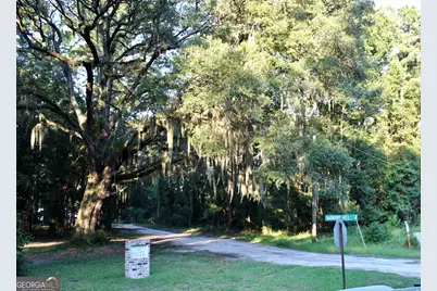 1046 Harmony Hill Lane NE, Townsend, GA 31331 - Photo 4