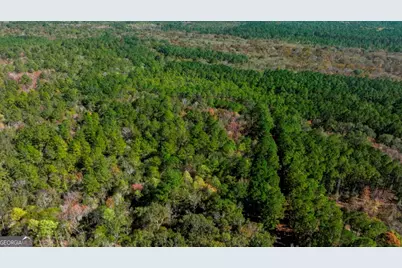 0 Anderson Road #TRACT 1, Statesboro, GA 30458 - Photo 26