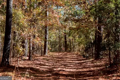 0 Anderson Road #TRACT 1, Statesboro, GA 30458 - Photo 4