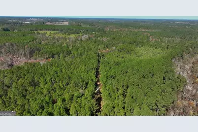 0 Anderson Road #TRACT 1, Statesboro, GA 30458 - Photo 14