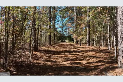0 Anderson Road #TRACT 1, Statesboro, GA 30458 - Photo 18
