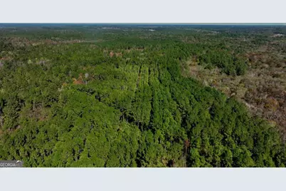 0 Anderson Road #TRACT 1, Statesboro, GA 30458 - Photo 1