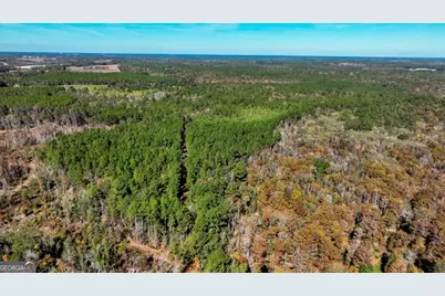 0 Anderson Road #TRACT 1, Statesboro, GA 30458 - Photo 22