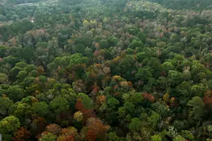 0 Twin Forks Rd/Martin Rd, Statesboro, GA 30458 - Photo 1