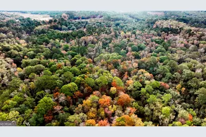 0 Twin Forks Rd/Martin Road #TRACT 2, Statesboro, GA 30458 - Photo 6