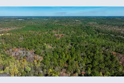 0 Twin Forks Rd/Martin Road #TRACT 2, Statesboro, GA 30458 - Photo 4