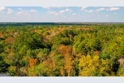 0 Twin Forks Rd/Martin Road #TRACT 2, Statesboro, GA 30458 - Photo 4