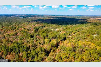 0 Twin Forks Rd/Martin Road #TRACT 2, Statesboro, GA 30458 - Photo 6