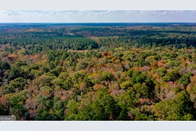 0 Twin Forks Rd/Martin Road #TRACT 2, Statesboro, GA 30458 - Photo 8