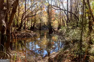 0 Twin Forks Rd/Martin Rd, Statesboro, GA 30458 - Photo 1