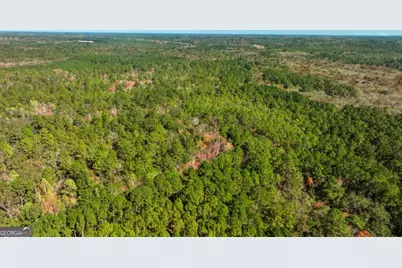 0 Twin Forks Rd/Martin Road #TRACT 4, Statesboro, GA 30458 - Photo 6