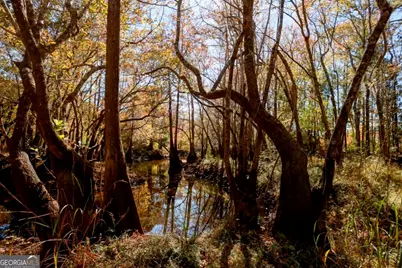 0 Twin Forks Rd/Martin Road #TRACT 4, Statesboro, GA 30458 - Photo 2