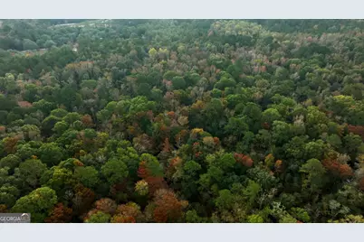 0 Twin Forks Rd/Martin Road #TRACT 5, Statesboro, GA 30458 - Photo 4