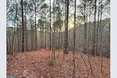 5Ac Lovejoy Lane, Talking Rock, GA 30175 - Photo 4