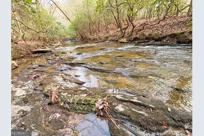 5Ac Lovejoy Lane, Talking Rock, GA 30175 - Photo 1