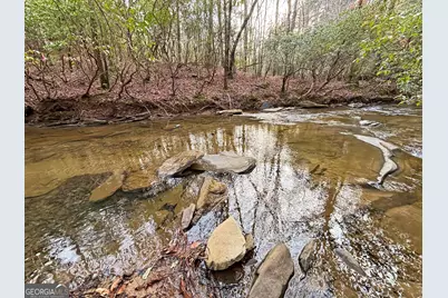 5Ac Lovejoy Lane, Talking Rock, GA 30175 - Photo 30