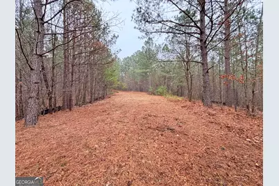 5Ac Lovejoy Lane, Talking Rock, GA 30175 - Photo 2