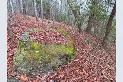 5Ac Lovejoy Lane, Talking Rock, GA 30175 - Photo 6