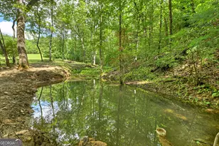 785 Wehunt Rd, Blue Ridge, GA 30513 - Photo 56