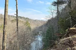 436 Meadow Ln, Talking Rock, GA 30175 - Photo 1