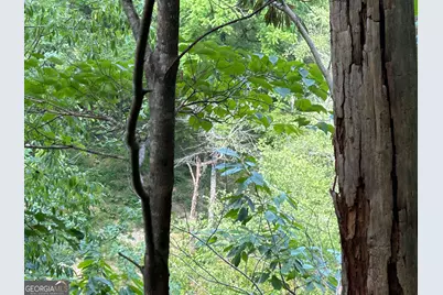 436 Meadow Lane, Talking Rock, GA 30175 - Photo 24