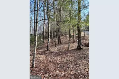 436 Meadow Lane, Talking Rock, GA 30175 - Photo 4