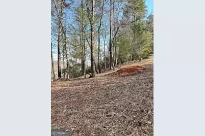 436 Meadow Lane, Talking Rock, GA 30175 - Photo 10