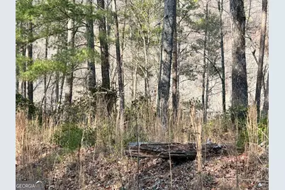 436 Meadow Lane, Talking Rock, GA 30175 - Photo 18