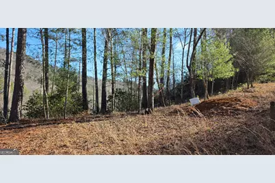 436 Meadow Lane, Talking Rock, GA 30175 - Photo 28