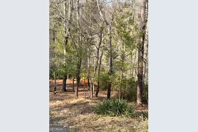 436 Meadow Lane, Talking Rock, GA 30175 - Photo 16