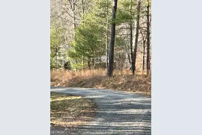 436 Meadow Lane, Talking Rock, GA 30175 - Photo 20