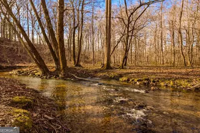 346 Rusty Lady Lane, Ellijay, GA 30536 - Photo 50