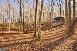 346 Rusty Lady Ln, Ellijay, GA 30536 - Photo 42