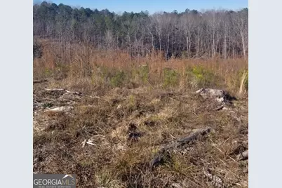 00 Thornton Drive, Elberton, GA 30635 - Photo 6