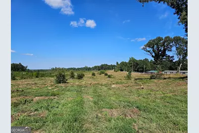 00 Thornton Drive, Elberton, GA 30635 - Photo 1