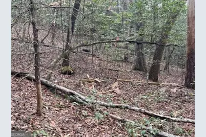 216 Holly Hill Drive, Blairsville, GA 30512 - Photo 6