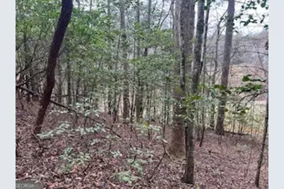 216 Holly Hill Drive, Blairsville, GA 30512 - Photo 12