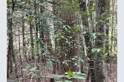216 Holly Hill Drive, Blairsville, GA 30512 - Photo 18