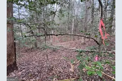 216 Holly Hill Drive, Blairsville, GA 30512 - Photo 10