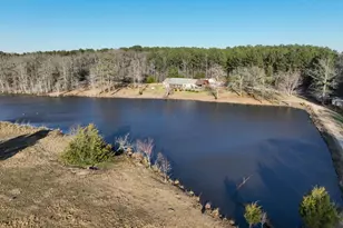 169 Ridgeway Rd, Jackson, GA 30233 - Photo 54