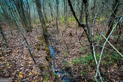 0 Hwy 166 E, Bowdon, GA 30108 - Photo 16