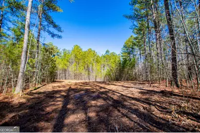 0 Hwy 166 E - 21+ Acres E, Bowdon, GA 30108 - Photo 4