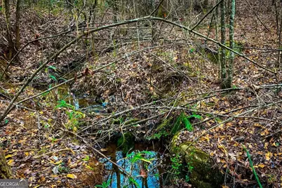 0 Hwy 166 E, Bowdon, GA 30108 - Photo 6