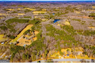 0 Hwy 166 E, Bowdon, GA 30108 - Photo 10