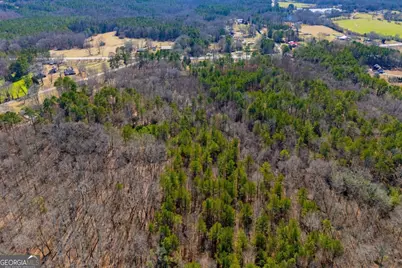 0 Hwy 166 E, Bowdon, GA 30108 - Photo 14