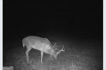 1980 Old Traders Hill Road, Folkston, GA 31537 - Photo 12