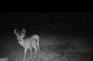 1980 Old Trader's Hill Rd, Folkston, GA 31537 - Photo 14